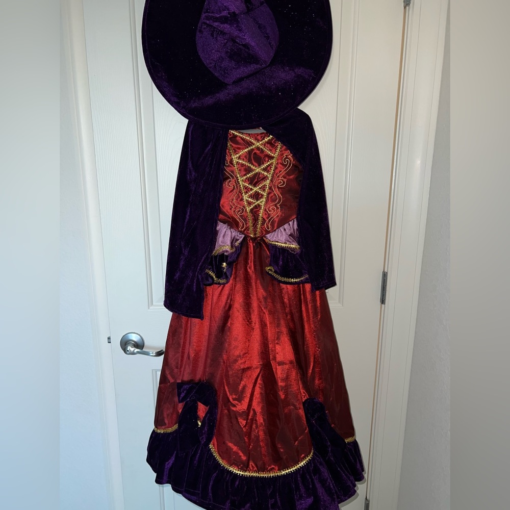 Pottery Barn Kids Witch Costume
